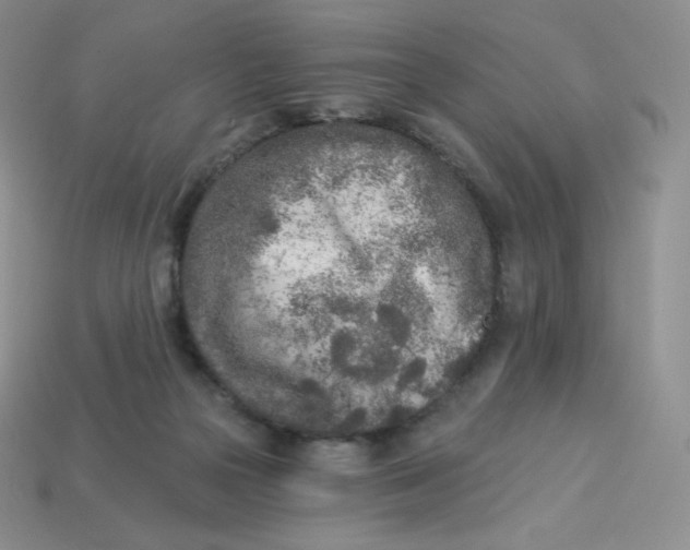 X0000113920169200910151447