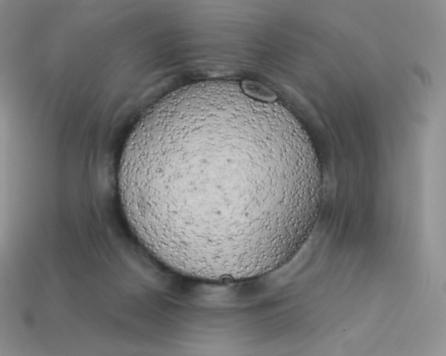 X0000113920170200910151447
