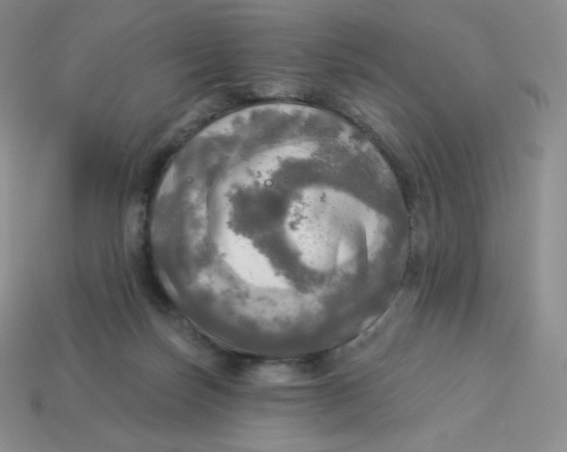 X0000113920171200910151447