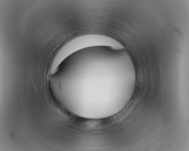 X0000113920172200910151448