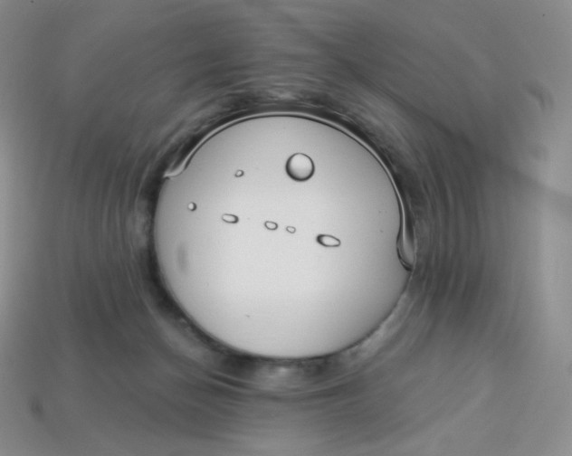 X0000113920174200910151448