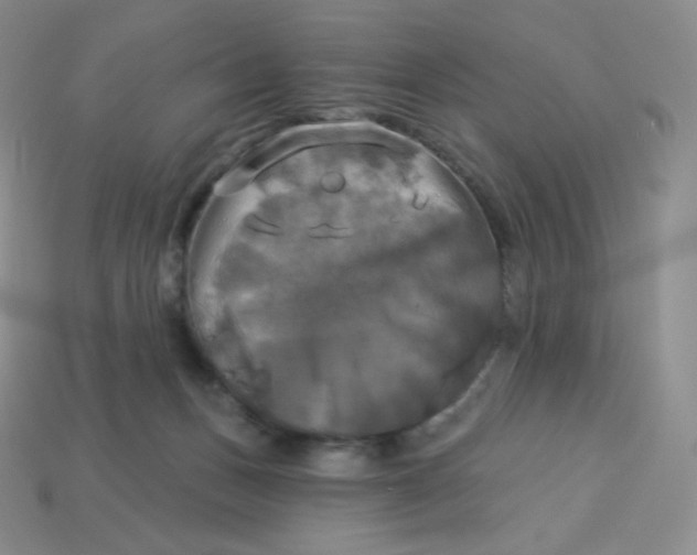 X0000113920175200910151448