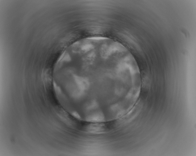 X0000113920179200910151448