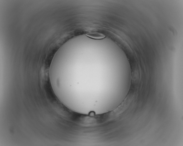 X0000113920180200910151448