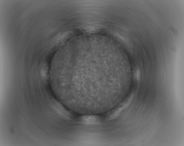 X0000113920181200910151448