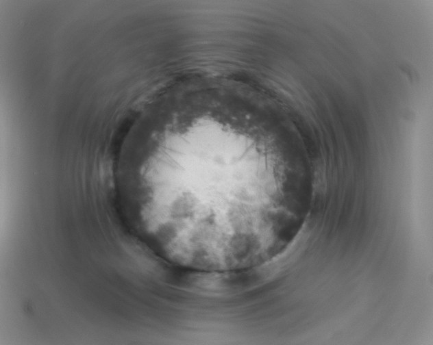 X0000113920182200910151448