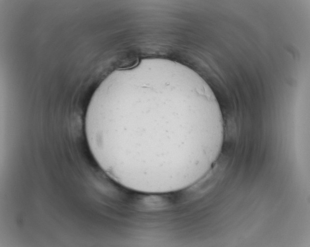 X0000113920183200910151448