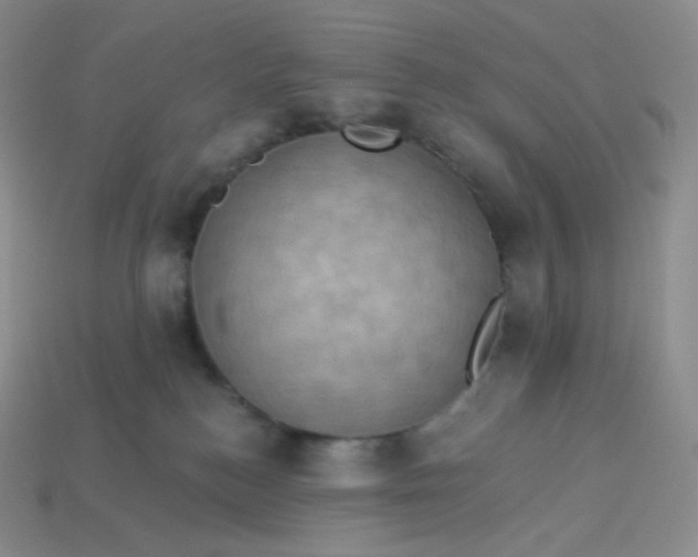 X0000113920184200910151448