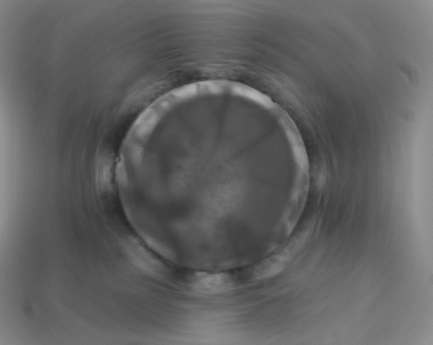 X0000113920185200910151448
