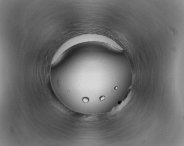 X0000113920186200910151448