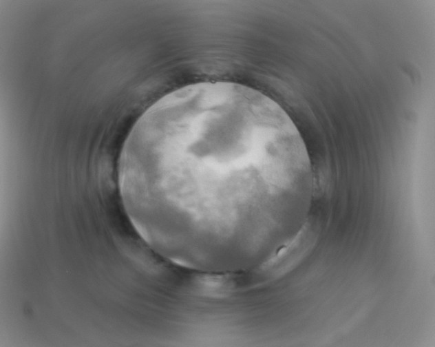 X0000113920187200910151448