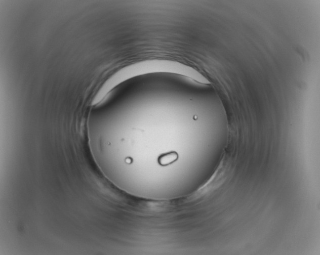 X0000113920188200910151448
