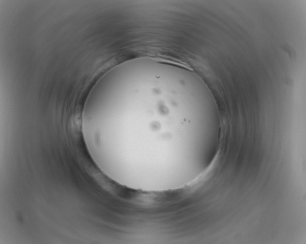 X0000113920190200910151448