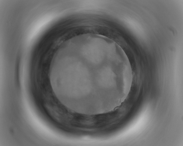 X0000113920191200910151448