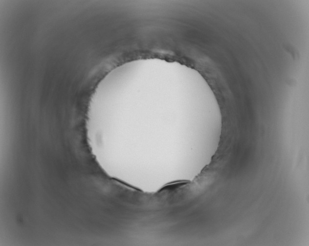 X0000113920192200910151448