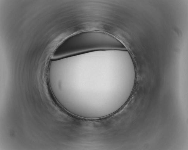 X0000113920193200910151447