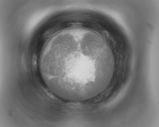 X0000113920194200910151447