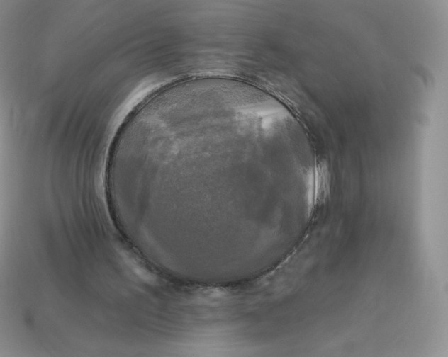 X0000113920195200910151447