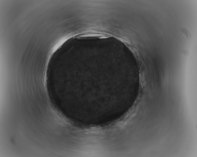 X0000113920196200910151447