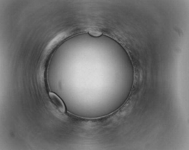 X0000113920197200910151447