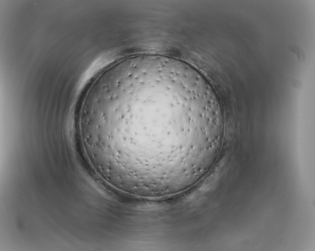 X0000113920198200910151447