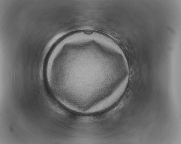 X0000113920200200910151447