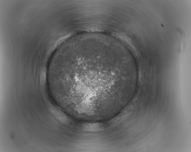 X0000113920202200910151447