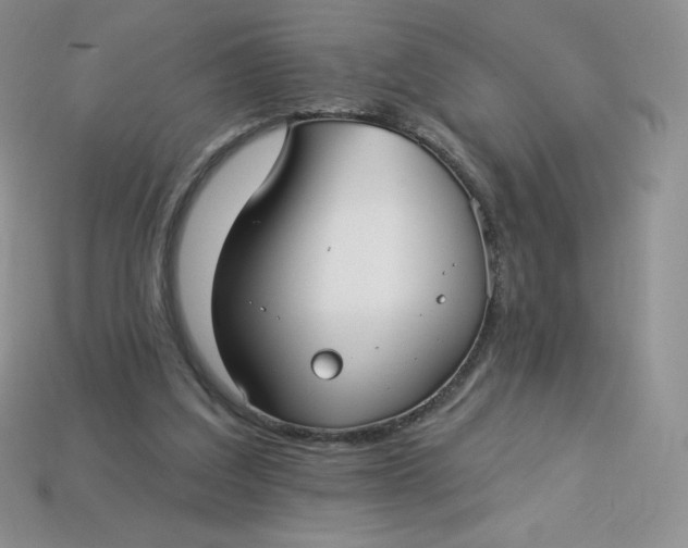 X0000113920203200910151447
