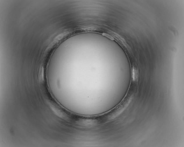 X0000113920205200910151447