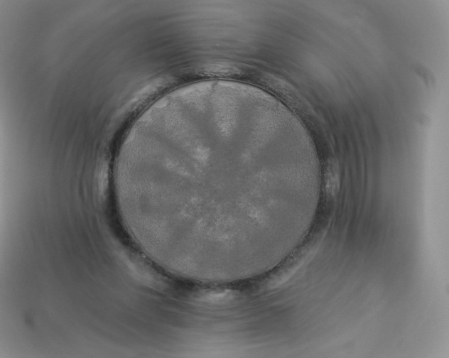 X0000113920206200910151447