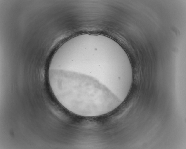 X0000113920207200910151447