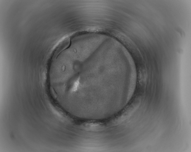 X0000113920208200910151447