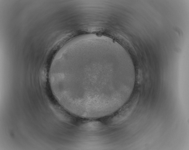X0000113920210200910151447