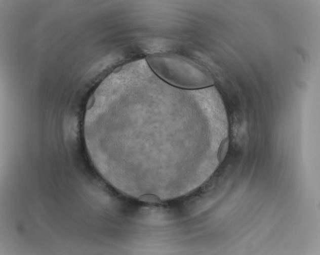X0000113920211200910151447