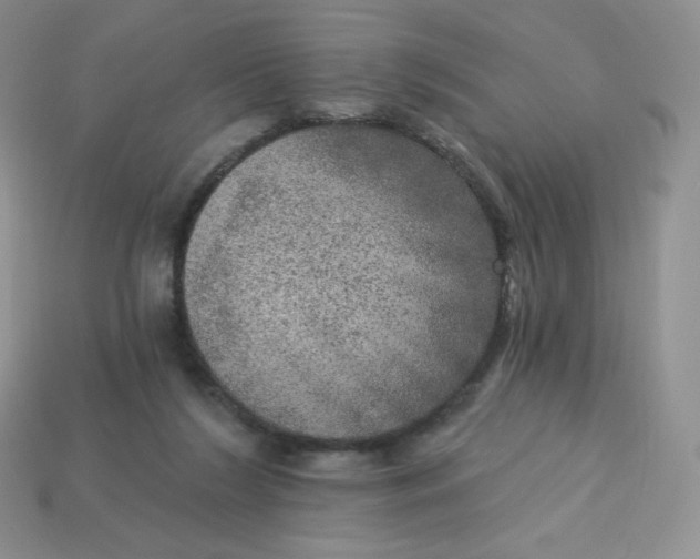 X0000113920212200910151447