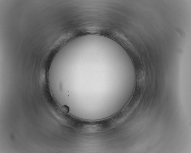 X0000113920213200910151447