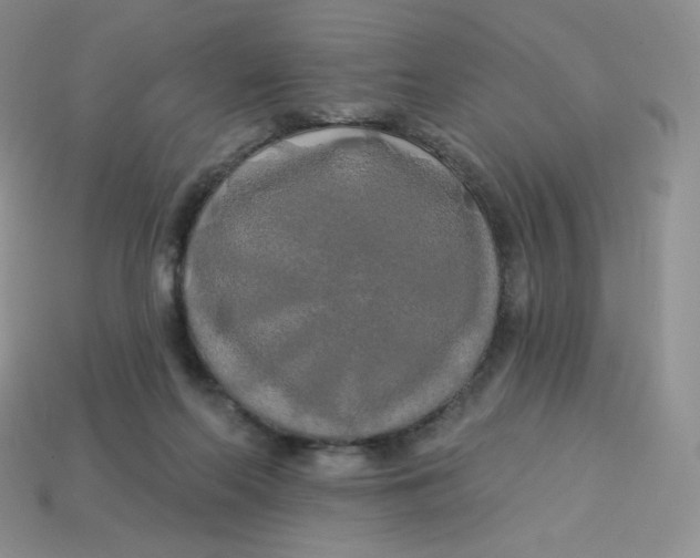 X0000113920214200910151447