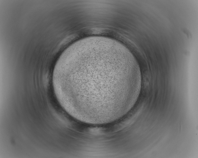 X0000113920216200910151447