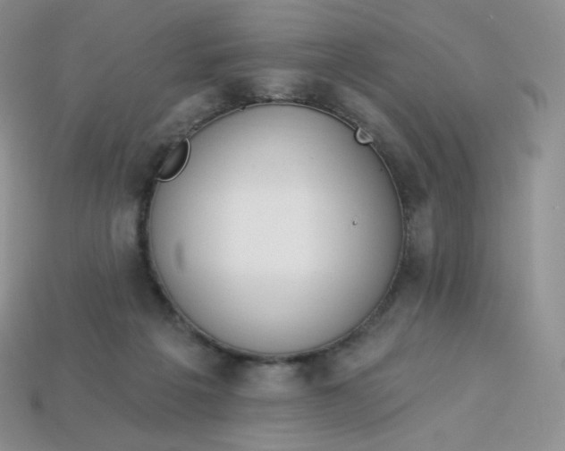 X0000113920217200910151447