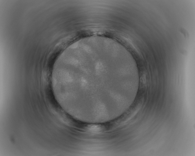 X0000113920218200910151447
