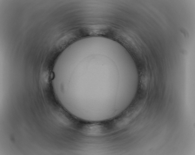 X0000113920219200910151447