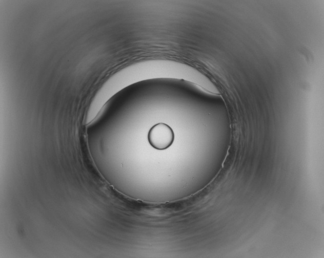 X0000113920221200910151447