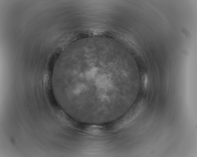 X0000113920222200910151447
