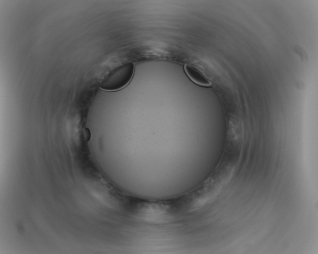 X0000113920223200910151446