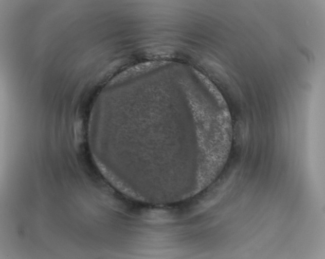 X0000113920224200910151446