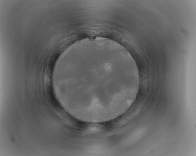 X0000113920226200910151446