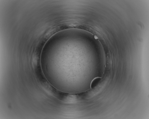 X0000113920227200910151446