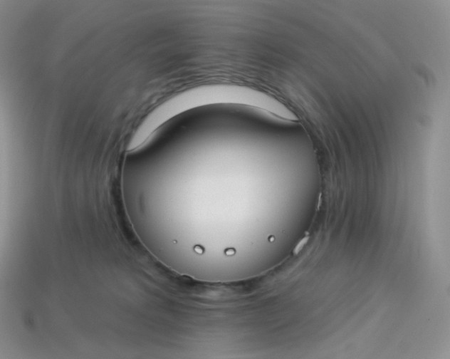 X0000113920229200910151446