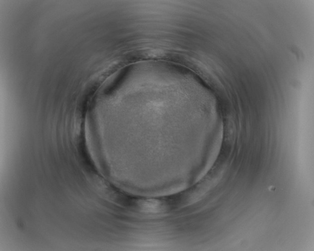 X0000113920230200910151446