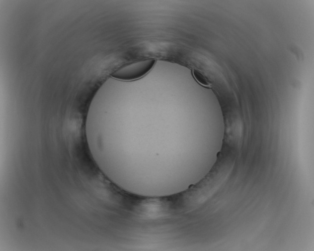 X0000113920231200910151446